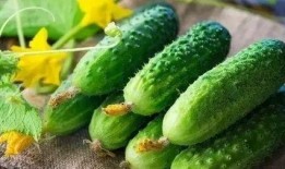 整个瓜还可以吃吗