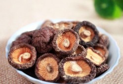 香菇方瓜能同时吃吗