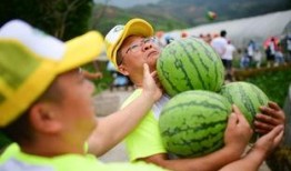 十八楼免费吃瓜