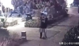 榆次吃瓜事件视频,一场网络热议的真相揭秘