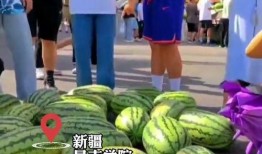 技校吃瓜,揭秘校园吃瓜背后的故事