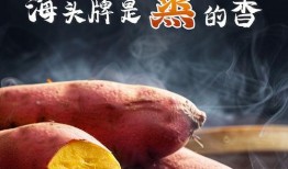 海南吃瓜法队,解锁热带风情美食之旅