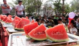 聊城校园吃瓜事件,揭秘校园网络暴力背后的真相