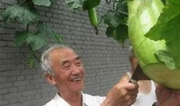 砍刀吃瓜,一场别开生面的夏日盛宴