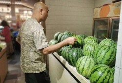 广州邻居吃瓜事件,邻里纠纷背后的社区矛盾与和谐之道