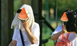 吃瓜本事最强,揭秘娱乐圈幕后真相