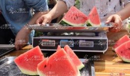 聊城校园吃瓜事件,揭秘校园网络暴力背后的真相