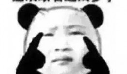 只会吃瓜的傻瓜,瓜界傻瓜的趣味食瓜日记