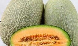 经常吃哈密瓜能美容吗,日常食用助你美丽加分