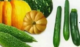 雯文吃瓜,揭秘娱乐圈幕后故事