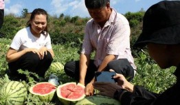 摄影吃瓜群众,捕捉社会百态的瞬间