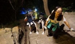 前线吃瓜小分队,揭秘战地风云中的趣味瞬间