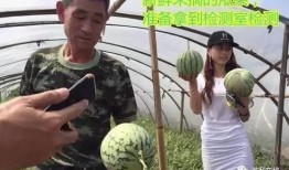 吃瓜群众直播之夜,揭秘网红幕后生活