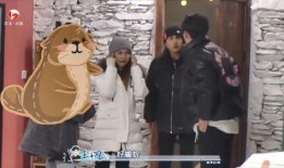 在恋综艺里吃瓜,揭秘明星们的甜蜜瓜田