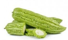 细腿吃瓜,揭秘网络热词背后的趣味与思考