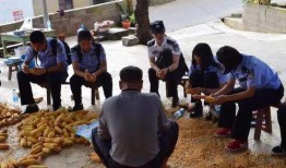 安警院吃瓜,真相与幕后