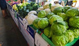 临沧吃瓜大妈,揭秘当地独特美食文化