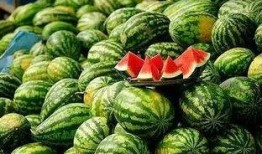 沐雅吃大瓜,娱乐圈大瓜背后的真相