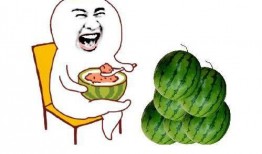 吃瓜季节的文案,揭秘吃瓜季节的趣味与奥秘