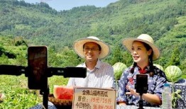 吃瓜南川,揭秘网络红人背后的故事