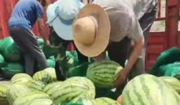 当卖瓜群众遭吃瓜协管,卖瓜群众遭遇吃瓜协管