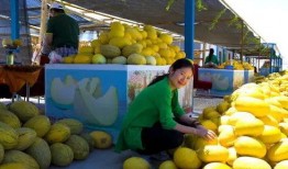 甘肃建筑吃瓜,瓜果飘香中的建筑艺术之旅