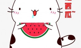 搞怪猫吃瓜头像,搞怪猫头像带你笑翻天