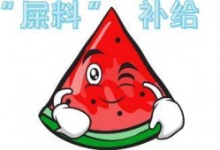 大头现场吃瓜,大头吃瓜大揭秘，笑料百出！