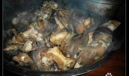 绕行在牛蹄 吃瓜,瓜田生趣