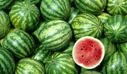 吃瓜的渊源,吃瓜文化的演变与影响