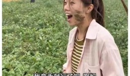 吃瓜群众快来围观啊,揭秘娱乐圈最新热点事件