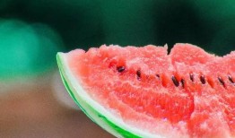 滑梯带你吃瓜,跟随滑梯吃瓜之旅