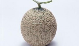 吃哈密瓜孕妇,哈密瓜的营养与孕妇健康