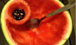 忍瓜可以吃吗,揭秘这种神秘水果的食用之谜