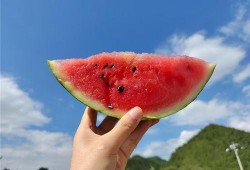 吃瓜什么季节好,吃瓜正当时——夏季瓜果盛宴