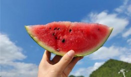 吃瓜什么季节好,吃瓜正当时——夏季瓜果盛宴