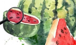 汪柴吃瓜什么寓意,揭秘娱乐圈背后的真相与寓意