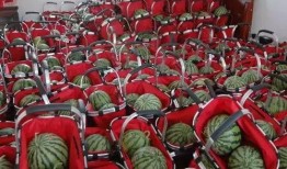 连云港吃瓜,瓜果飘香，品味夏日清凉