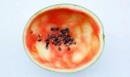 没有勺子如何吃瓜,无勺吃瓜也能尽享夏日清凉