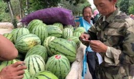 湾湾爆笑吃瓜,笑料横生的娱乐圈幕后故事大揭秘