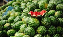 吃瓜些一吃嘛,一吃嘛，尽享夏日清凉