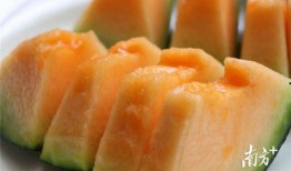 吃瓜线下体验,带你走进线下娱乐新天地