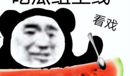 吃瓜兔已有闺蜜,欢乐时光里的甜蜜陪伴