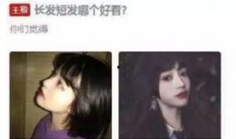 直播吃瓜挡脸