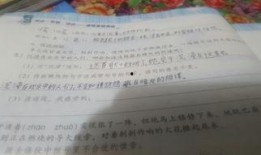 吃瓜情景短文,吃瓜群众视角下的娱乐圈风云