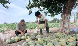 每日吃瓜群,揭秘娱乐圈幕后故事，带你领略明星真实生活