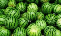 有啥好的吃瓜群吗,寻找最佳吃瓜群，畅享欢乐时光