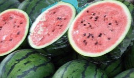 澳洲magicman事件吃瓜,揭秘网络红人背后的真相与争议