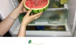 在吃饭的时候吃瓜,美食与八卦的完美融合