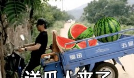 2021年吃瓜事件,热点追踪与幕后揭秘